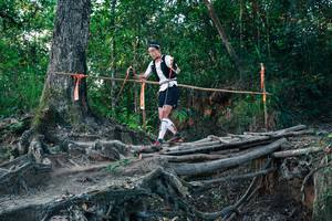 BIB: 
                            <button type="button" onclick="openModal(27542553)" class="btn btn-primary btn-sm float-right btn-popup" data-toggle="modal" data-target=".modal-high-quality">
                        <i class="fas fa-shopping-cart"></i> Add to Cart
                    </button>
                                            <button type="button" onclick="isThisMe(27542553, true)" class="btn btn-success btn-sm float-right btn-popup btn-isme hidden" data-toggle="tooltip" data-placement="bottom" title="นี่คือรูปของคุณใช่ไหม คลิกที่นี่เพื่อเอาเข้าอัลบั้ม">
                        <i class="fas fa-plus"></i> Add to album
                    </button>
                    <button type="button" onclick="isThisMe(27542553, false)" class="btn btn-warning btn-sm float-right btn-popup btn-isnotme hidden">
                        <i class="fas fa-ban"></i> Remove from album
                    </button>